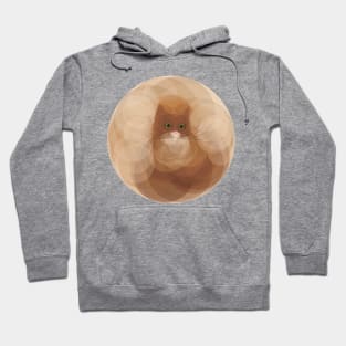 Round cat Hoodie